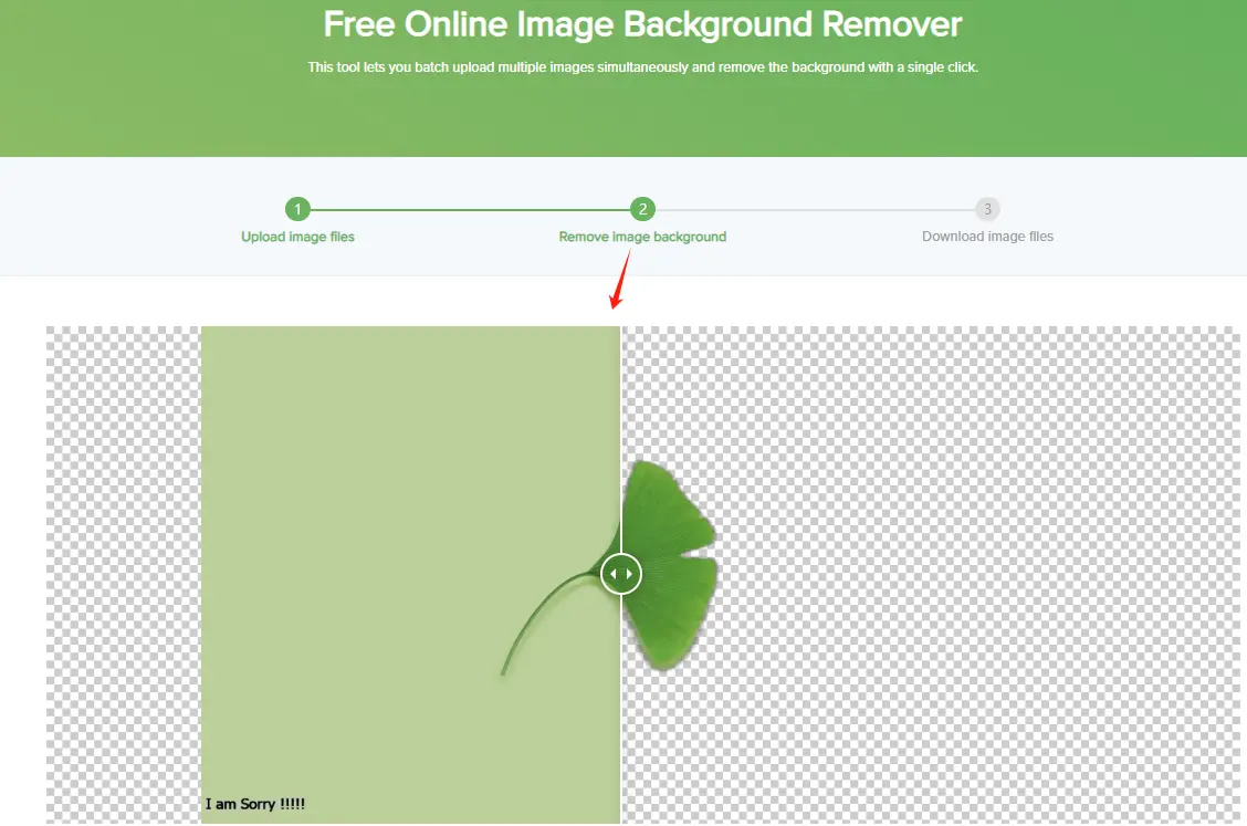 How-to-Use-Fonwork-Remove-Image-Background-step-4