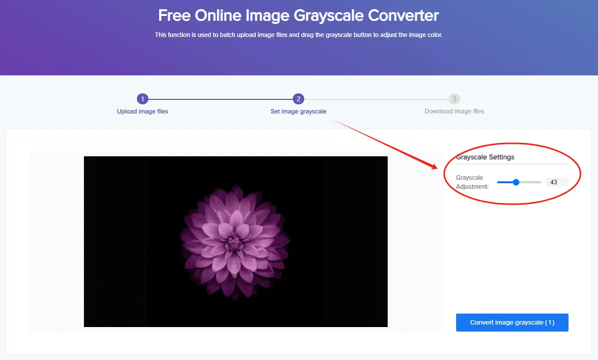 How-to-Use-Fonwork-Convert-Image-to-Grayscale-step-3