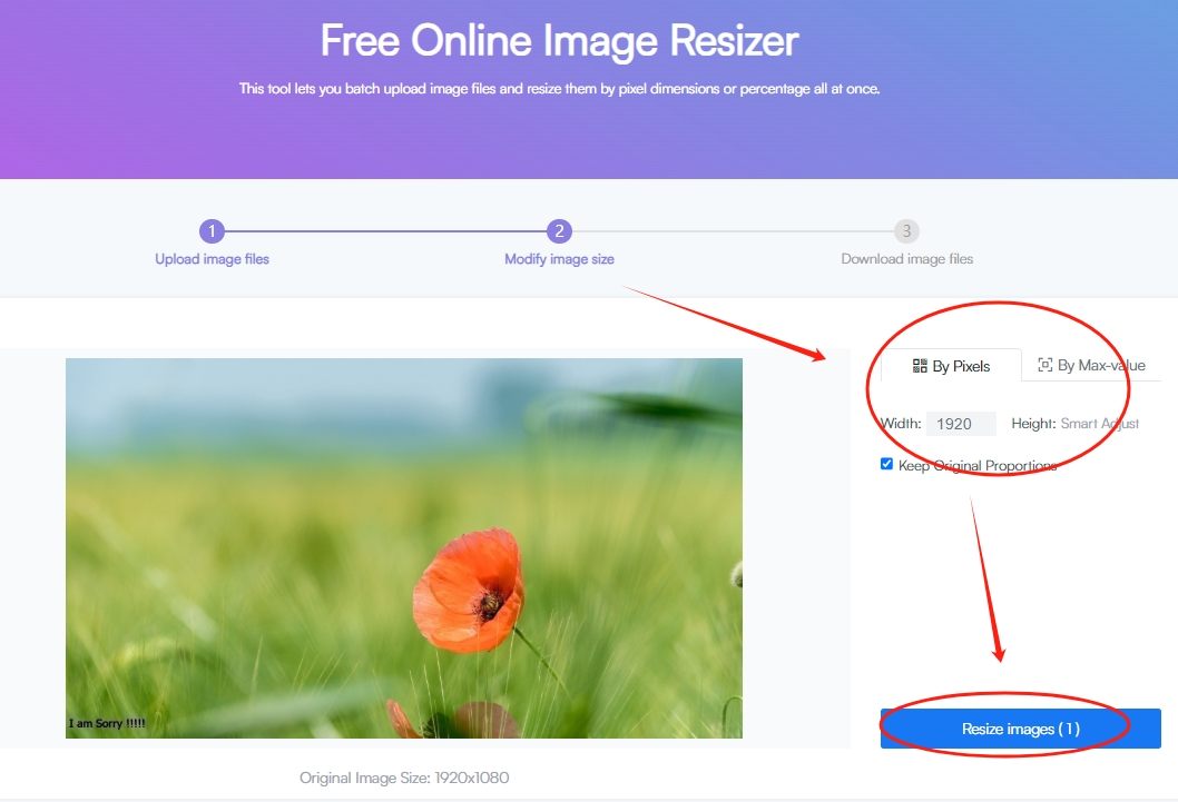 How-to-Use-Fonwork-Resize-Images-step-3