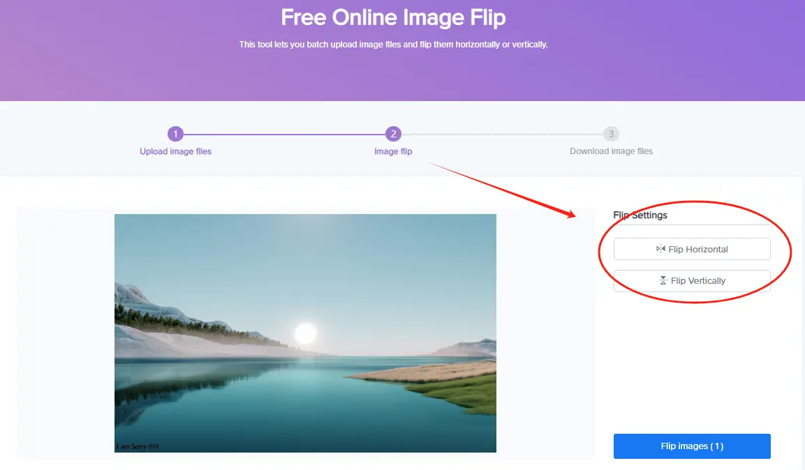 How-to-Use-Fonwork-Flip-Images-step-3-Convert